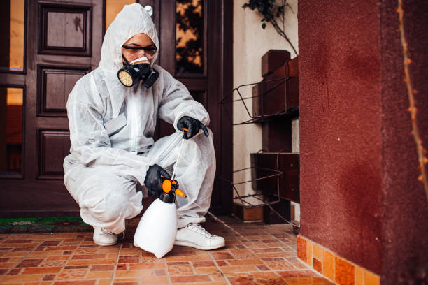 Reliable Wasp Removal contractor in Barton, NM by Show Me Pest Control